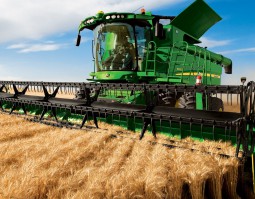 朱砂根的種植方法，選種、幼苗期管理、施肥、移栽、病蟲害防治